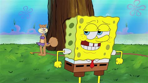 SpongeBuddy Mania .